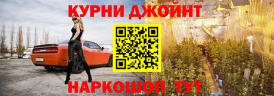 гидра Новозыбков