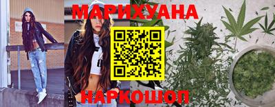 гидра Новозыбков
