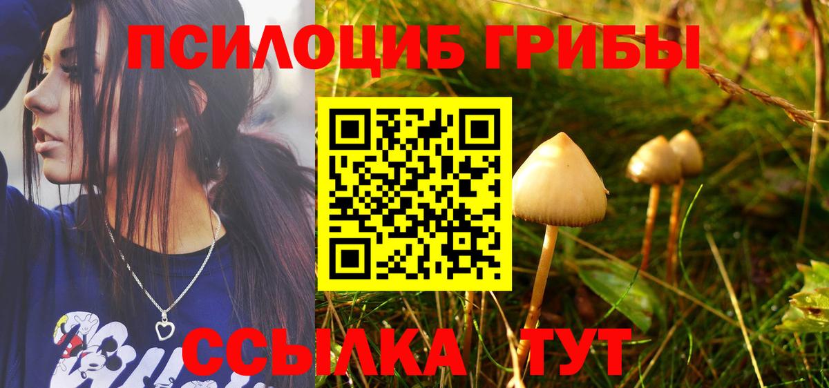 Галлюциногенные грибы ЛСД Тосно